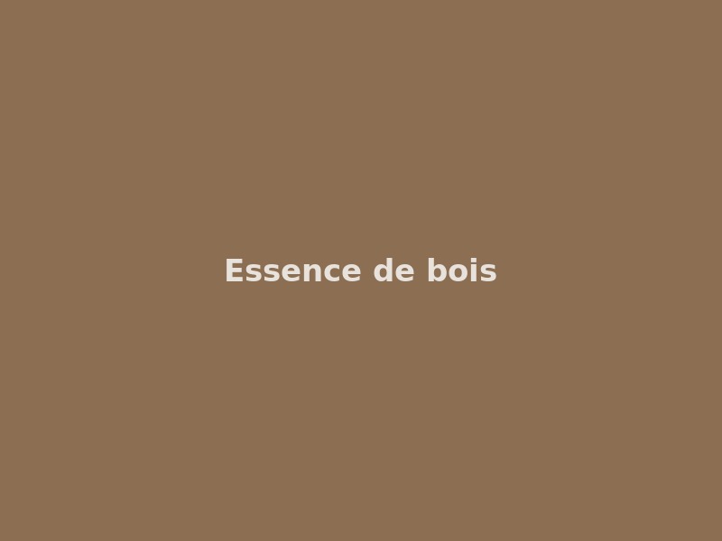 Vue de l'essence de bois
