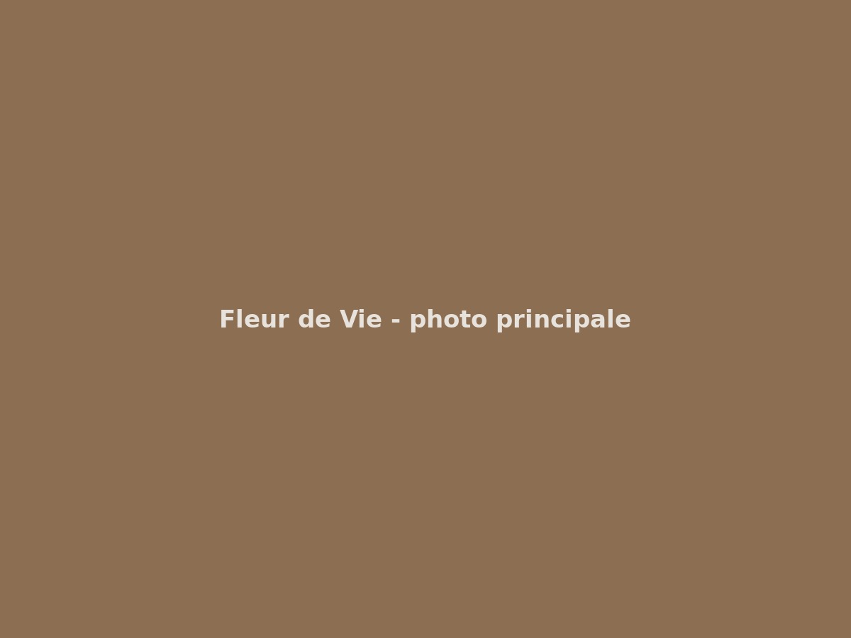 Modèle classique ajouré