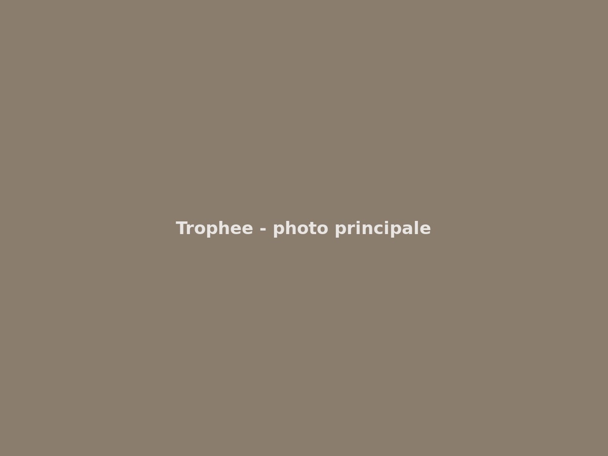 Trophée gravé — finale de tournoi